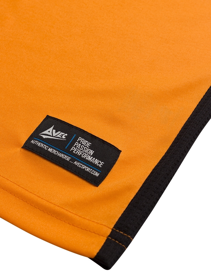 picture of s/s fusion sash jersey - amber/black