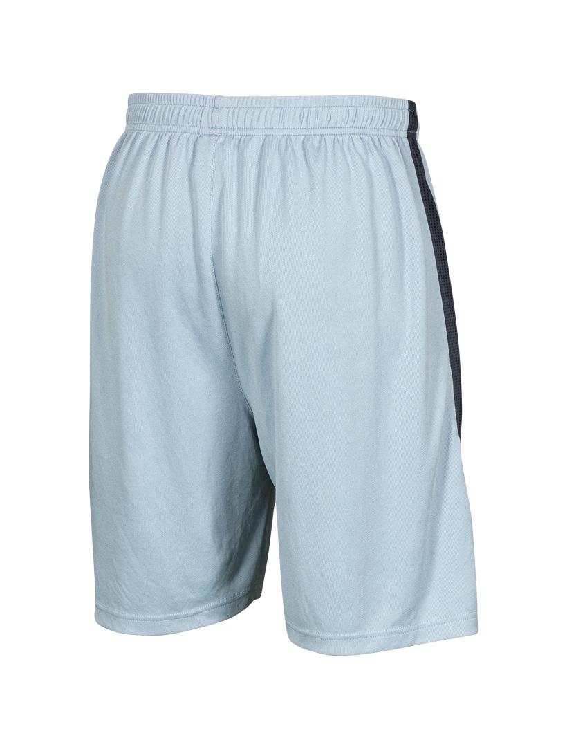picture of focus active short - ice