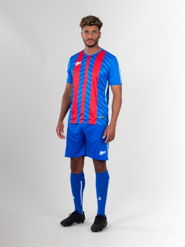 Picture of TEAM ID PRO STRIPE JERSEY - ROYAL/RED