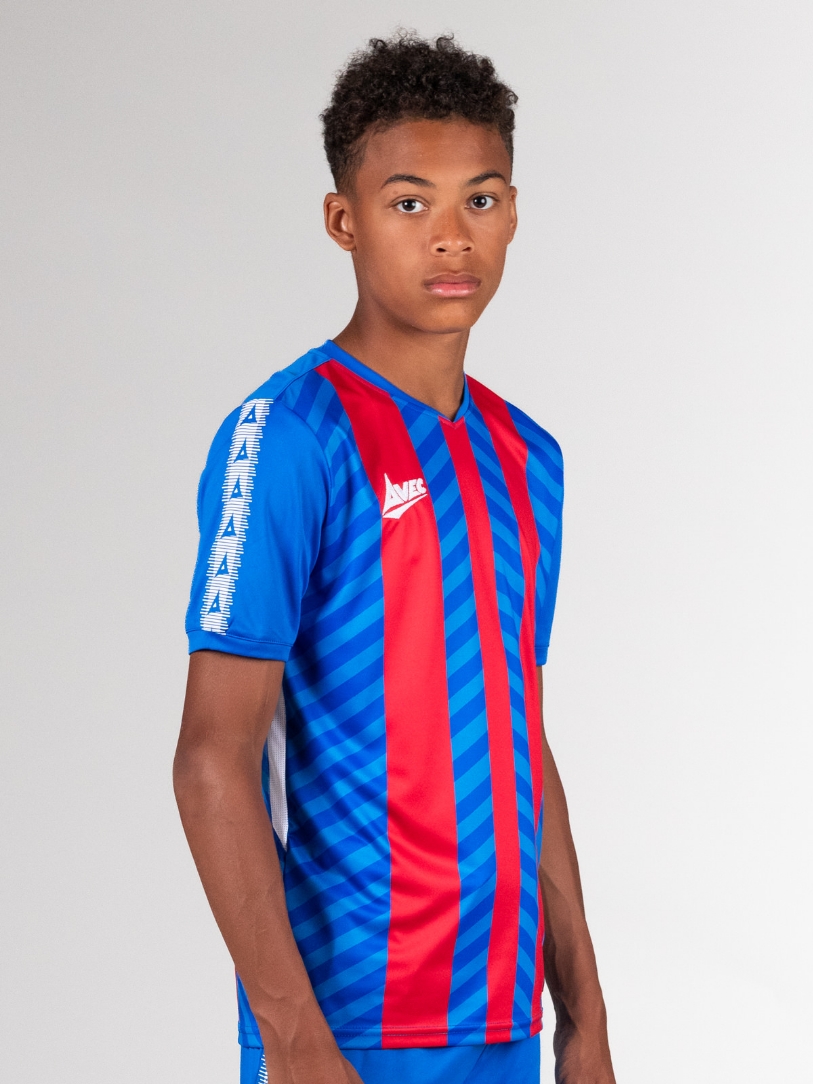 Red & Blue Stripe Jersey | Stripe Sports Jersey | Avec Sport