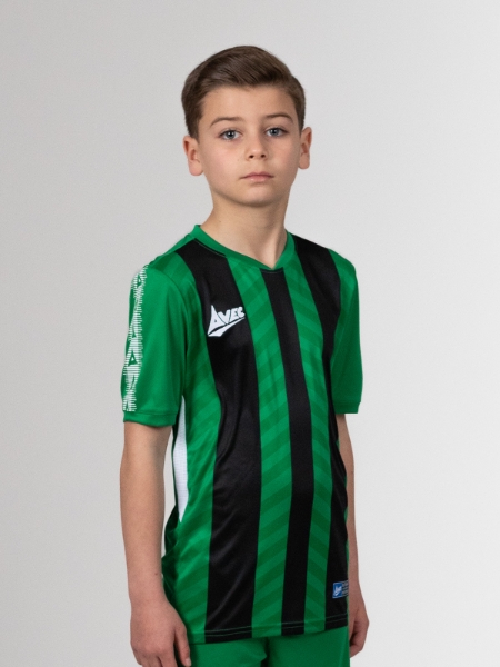 Picture of TEAM ID PRO STRIPE JERSEY - GREEN/BLACK