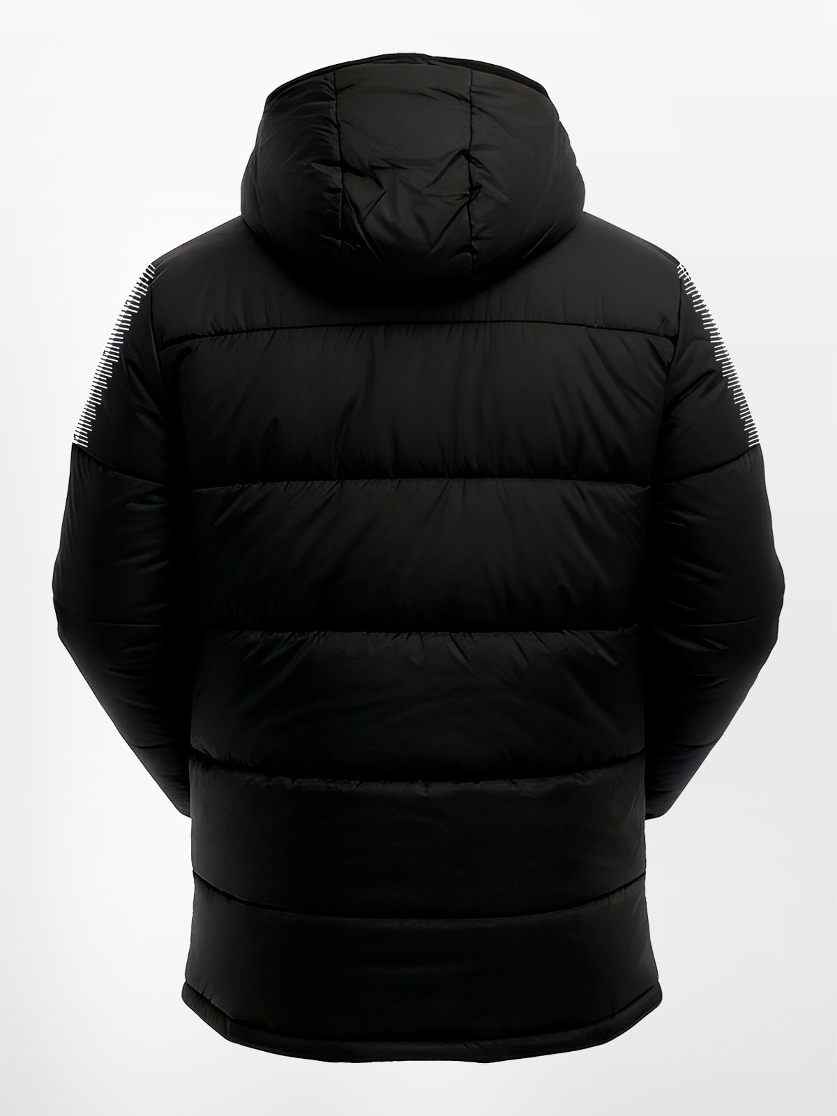 avec evolve pro padded jacket in black – back view
