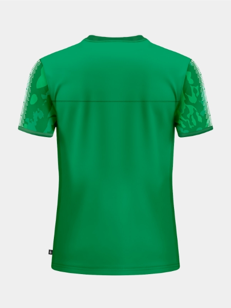 Back view of the Green and White hooped matchday jersey, ideal for club sponsors and squad customization.
