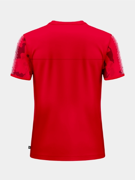 Back view of the Red and Black hooped jersey, tailored for amateur and professional club personalisation.