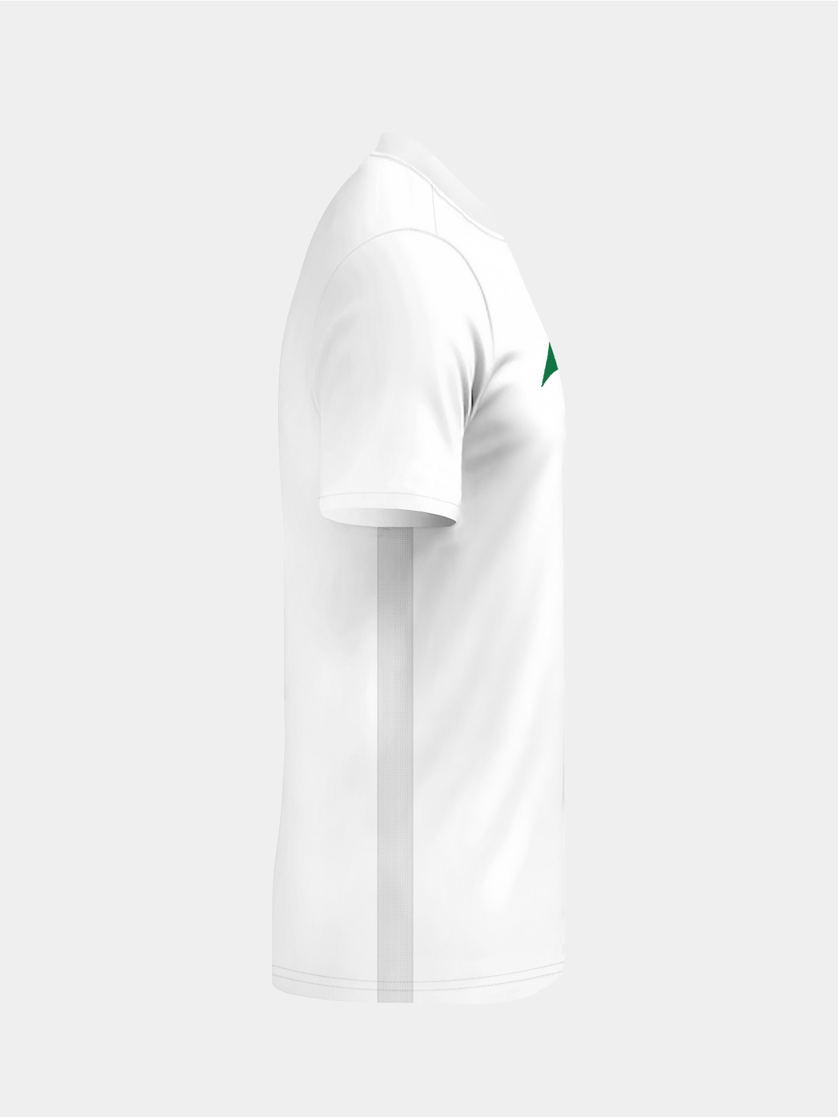 picture of focus 2 classic jersey - white/green