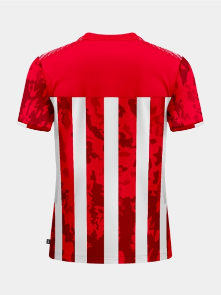 Picture of PRO INTENT STRIPE JERSEY - RED/WHITE