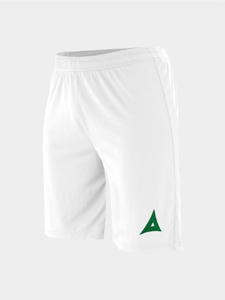 Picture of FOCUS 2 CLASSIC SHORT - WHITE/GREEN