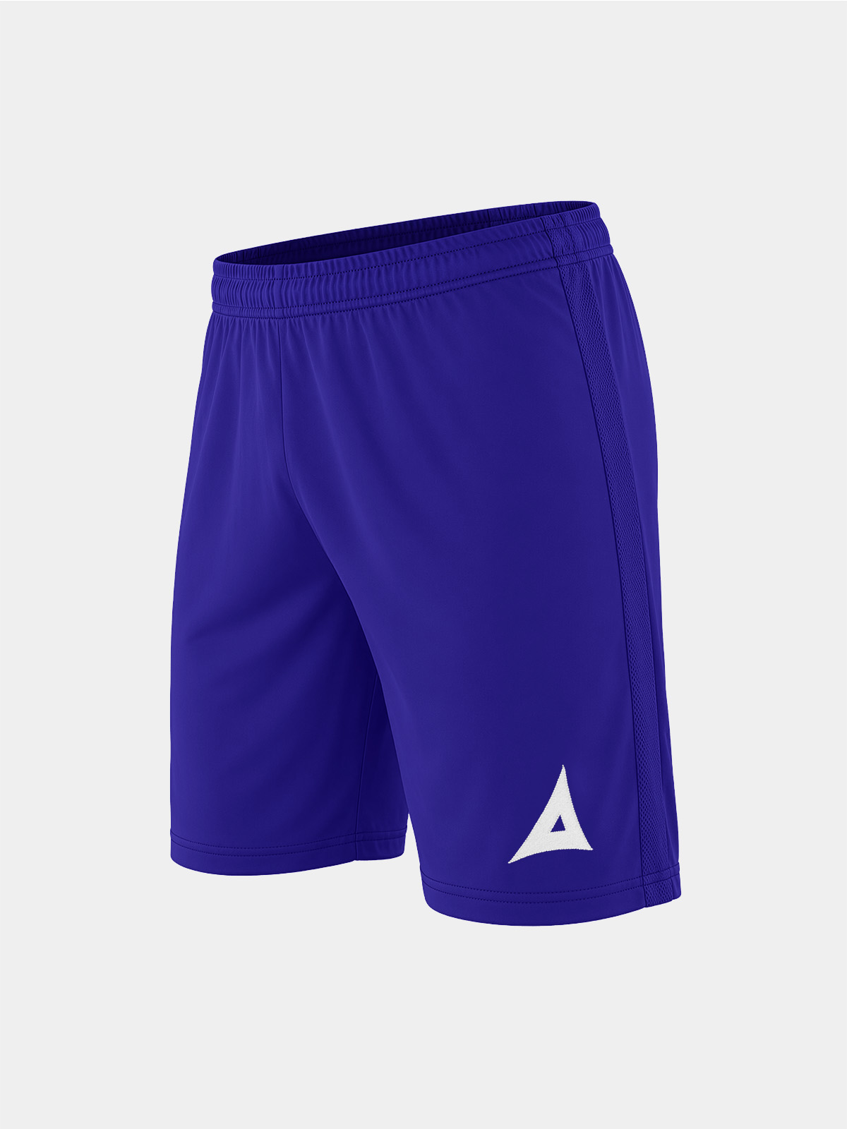 picture of focus 2 classic short - purple