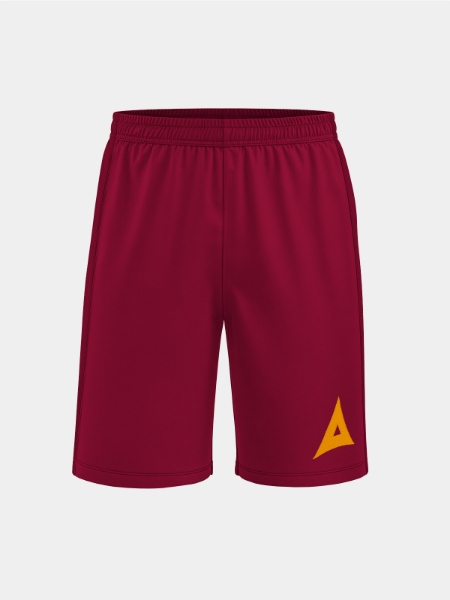 Picture of FOCUS 2 CLASSIC SHORT - CLARET/AMBER
