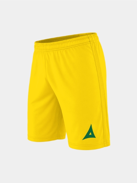 Picture of FOCUS 2 CLASSIC SHORT - YELLOW/GREEN