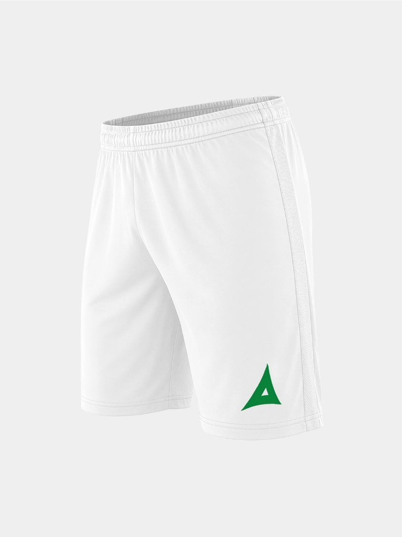 Picture of FOCUS 2 CLASSIC SHORT - WHITE/GREEN