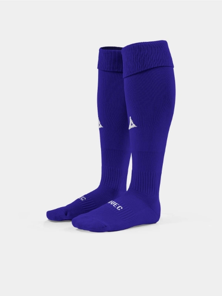 Picture of CLASSIC TEAM SOCK - PURPLE