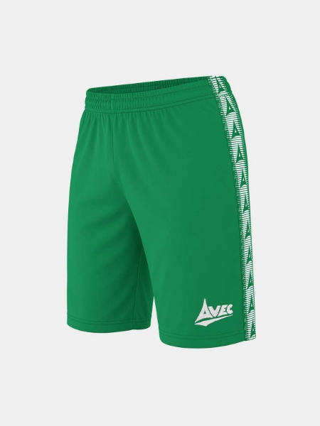Picture of EVOLVE SHORT - GREEN