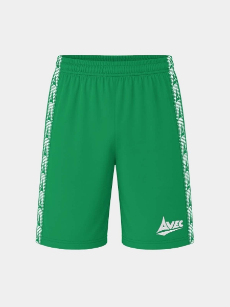 Picture of EVOLVE SHORT - GREEN