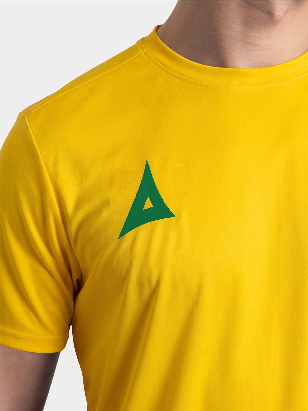 picture of focus 2 classic jersey - yellow/green