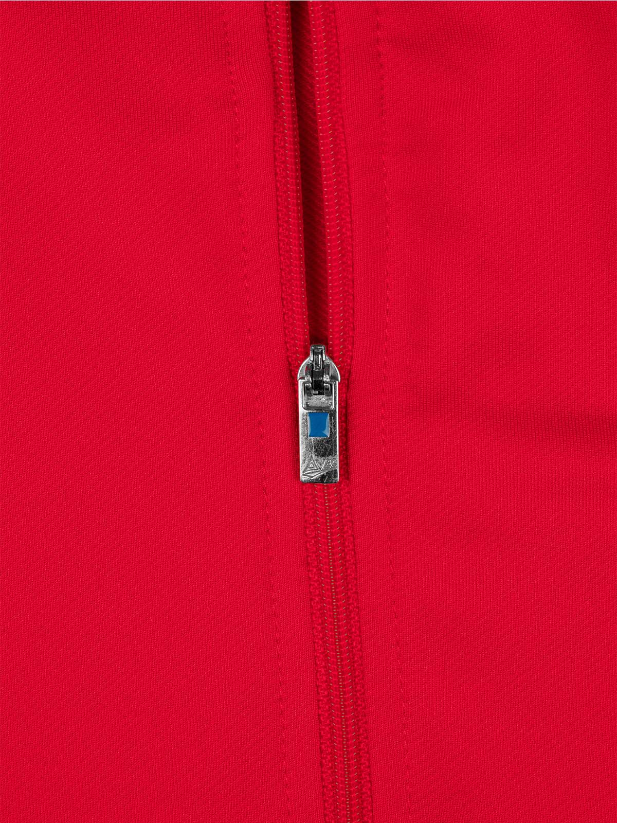 picture of focus 2 overlay - red