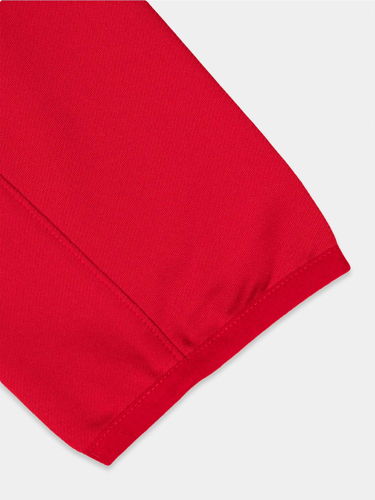 picture of focus 2 overlay - red