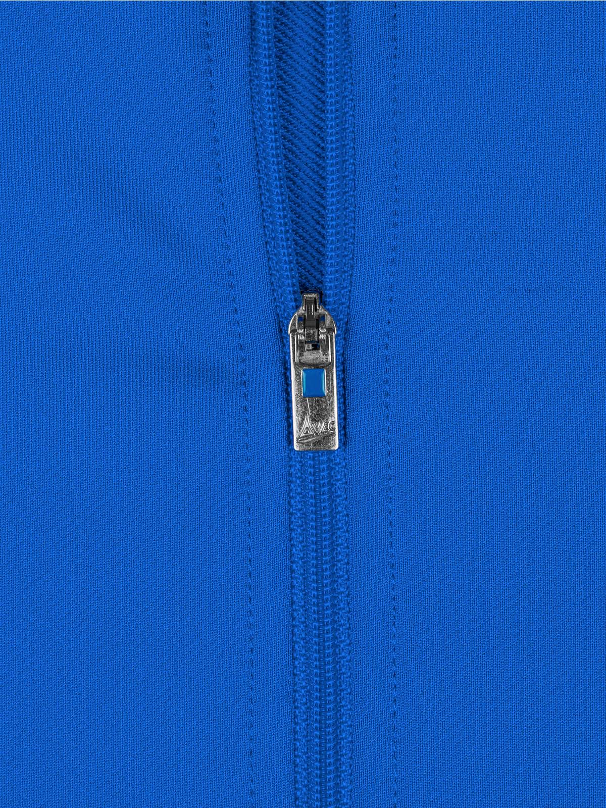 picture of focus 2 overlay - royal