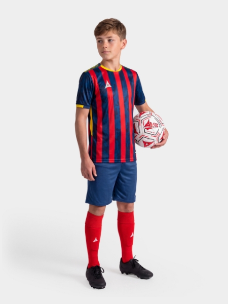Picture of PRO INTENT STRIPE JERSEY - NAVY/RED/YELLOW