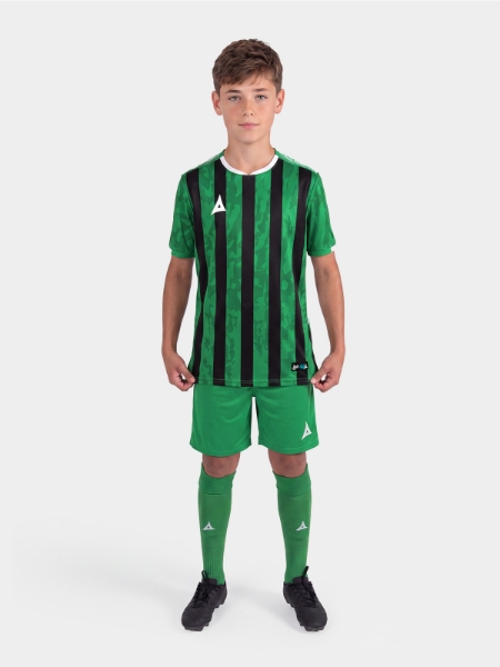 Picture of PRO INTENT STRIPE JERSEY - GREEN/BLACK
