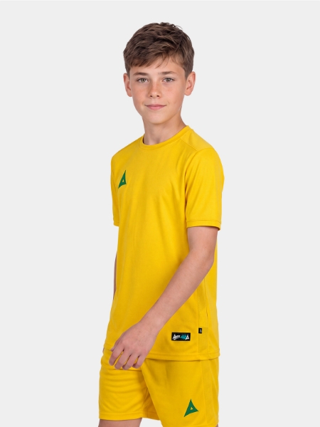 Picture of FOCUS 2 CLASSIC JERSEY - YELLOW/GREEN