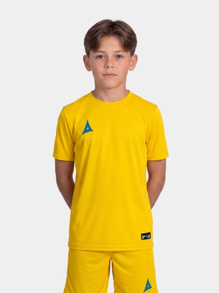 Picture of FOCUS 2 CLASSIC JERSEY - YELLOW/ROYAL