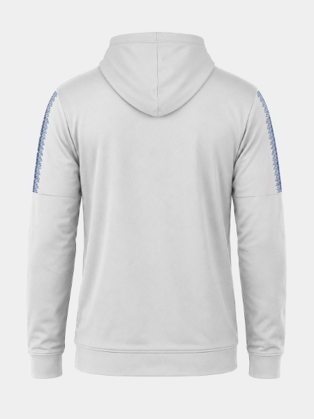 Picture of EVOLVE FZ HOODIE - GREY