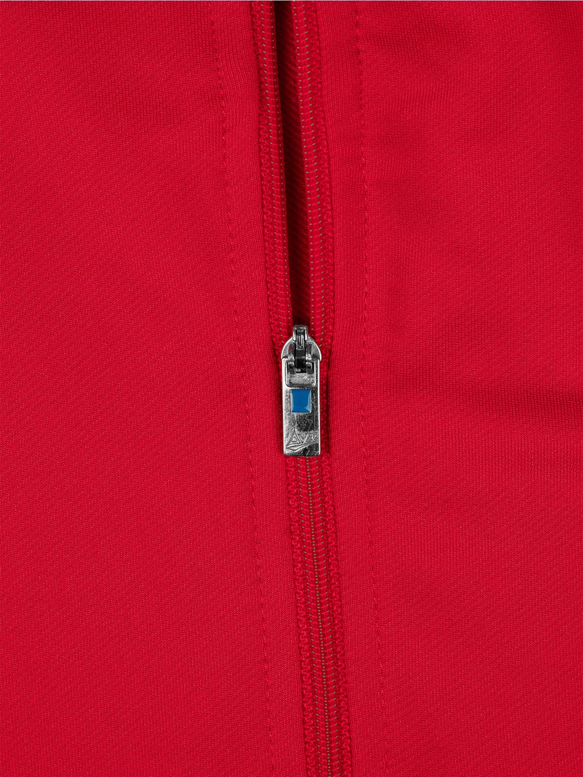 picture of focus 2 overlay - red