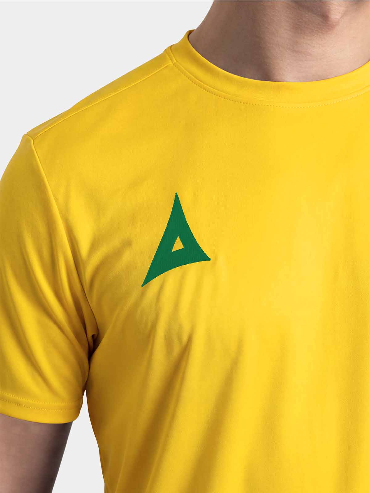 picture of focus 2 classic jersey - yellow/green